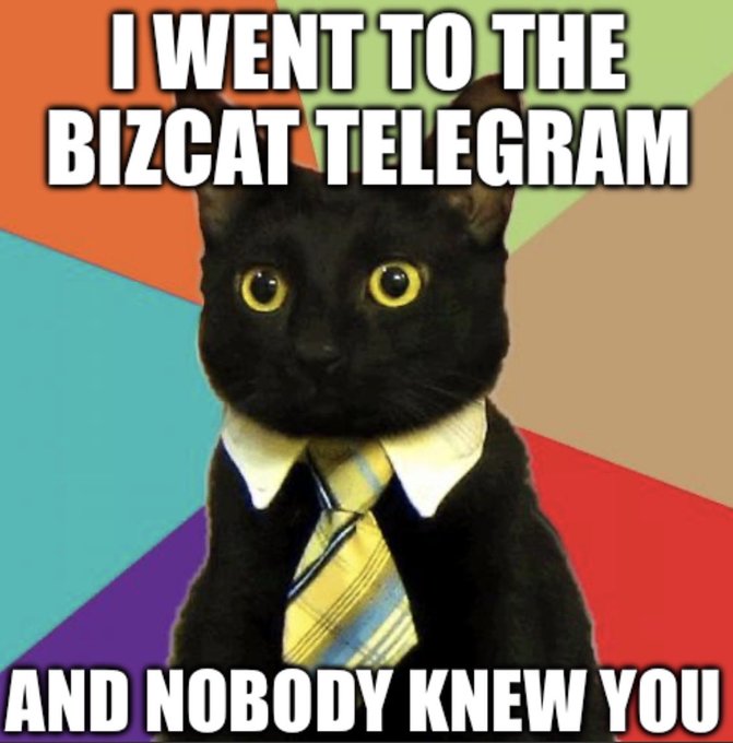 The 'Business Cat' meme showing a black cat in a white collar and striped tie with the text 'I WENT TO THE BIZCAT TELEGRAM' at the top and 'AND NOBODY KNEW YOU' at the bottom.