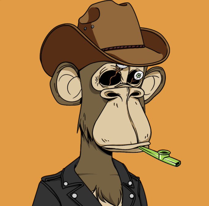 A cartoon illustration of a stylized monkey/ape character wearing a brown cowboy hat and black leather jacket, smoking a green pipe, with a star in one eye.