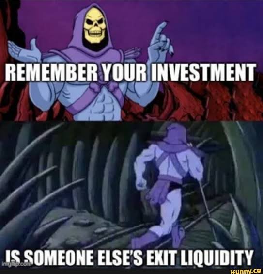 A two-panel Skeletor meme with the top text "REMEMBER YOUR INVESTMENT" and the bottom text "IS SOMEONE ELSE'S EXIT LIQUIDITY" (watermarked ifunny.co).
