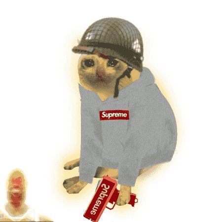 The image features a meme-style cat wearing a military helmet and a gray "Supreme" hoodie, holding a Supreme-branded skateboard, which playfully fits the "#600" milestone celebration post offering 0.75 ETH to a "golden cashcat."