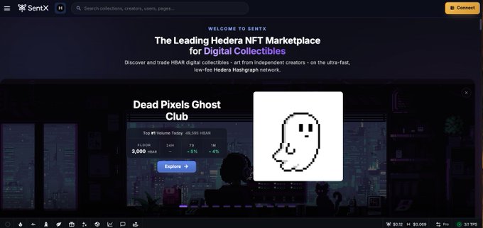 Screenshot of the SentX NFT marketplace homepage featuring 'Dead Pixels Ghost Club' with text 'The Leading Hedera NFT Marketplace for Digital Collections' and pricing data showing 3,000 HBAR volume.