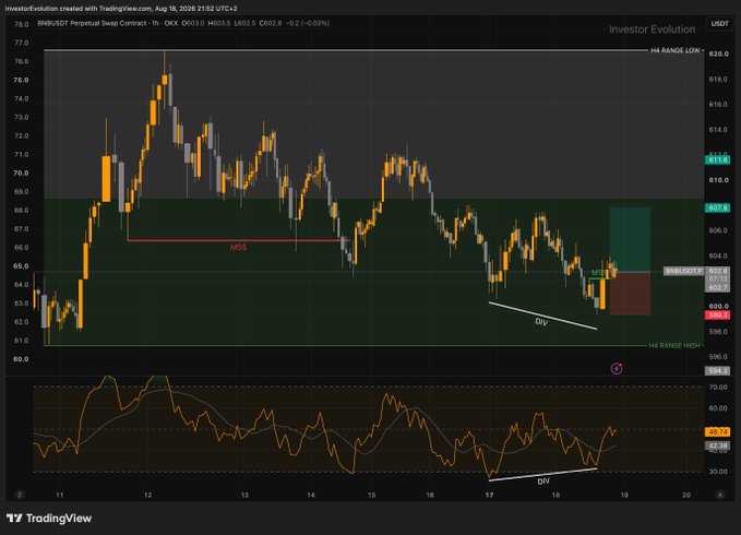 A TradingView candlestick chart for 'BNBUSDT Perpetual Swap Contract' on Binance, showing price action with technical analysis annotations including 'MSS', 'CHOCH', and 'DIV' markings.