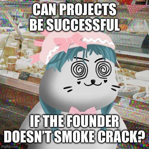 A meme featuring an anime-style cat character with spiral eyes overlaid on a grainy bakery display, with text reading 'CAN PROJECTS BE SUCCESSFUL IF THE FOUNDER DOESN'T SMOKE CRACK?'