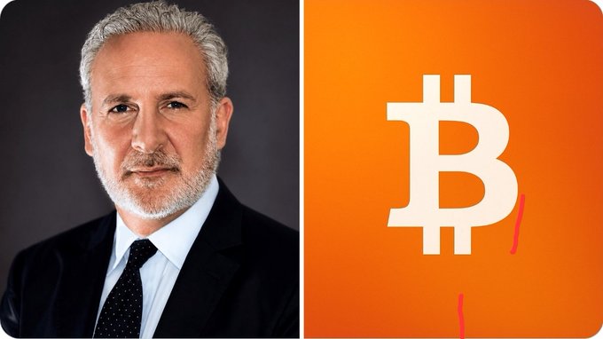 A split image showing Peter Schiff on the left and an orange Bitcoin logo with a downward red arrow on the right.