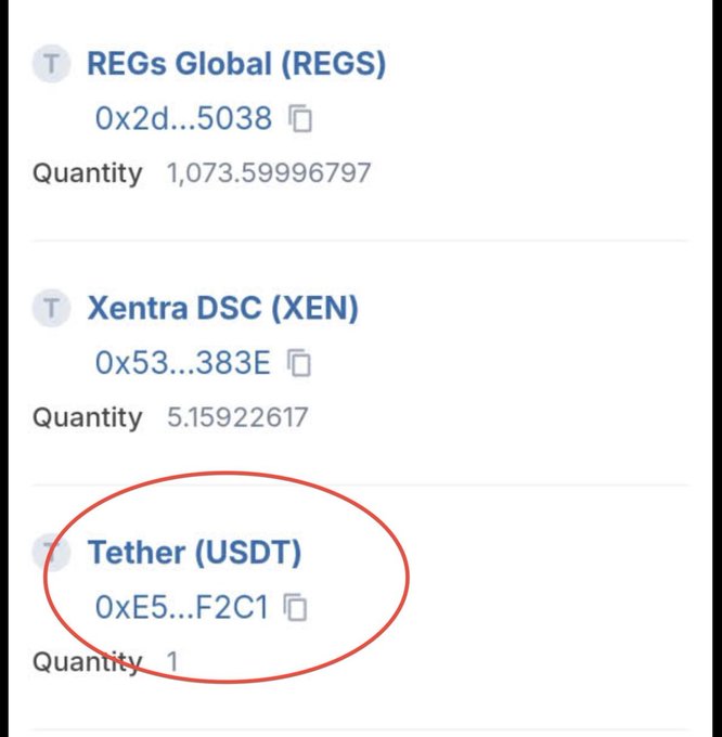 The image shows a crypto wallet holdings list displaying three tokens—REGs Global (REGS) at 1,073.60 units, Xentra DSC (XEN) at 5.16 units, and Tether (USDT) with a quantity of 1 (circled in red)—visually emphasizing the presence of USDT, which the post highlights as a key trading pair on Sidrachain for upcoming token swaps.