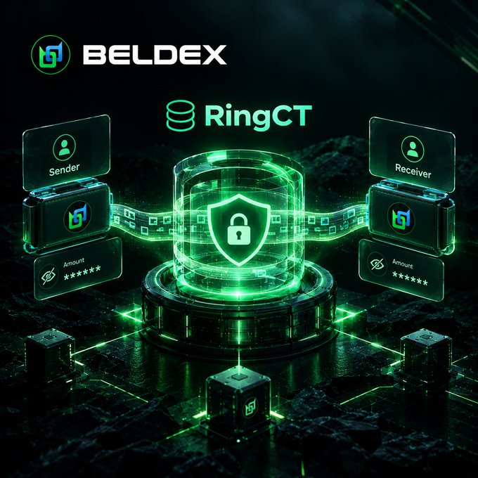 A digital graphic for Beldex featuring the RingCT protocol, showing a sender and receiver transaction protected by a glowing green shield and padlock, with obscured transaction amounts displayed on floating panels.