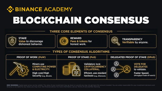 An educational infographic from Binance Academy titled "Blockchain Consensus" explaining the three core elements (Stake, Reward, Transparency) and comparing types of consensus algorithms—Proof of Work (PoW), Proof of Stake (PoS), and Delegated Proof of Stake (DPoS)—illustrating how each secures networks like Bitcoin and Ethereum. This visual supports the post's point about the XRP Ledger requiring an 80% validator supermajority threshold for protocol changes, as consensus algorithms fundamentally govern how networks agree on upgrades and rule changes.