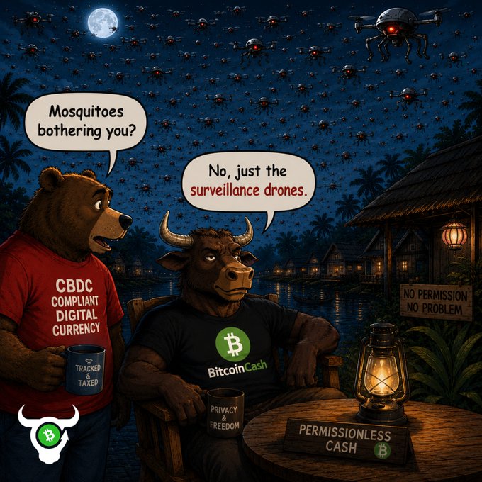 A cartoon illustration shows a bear in a 'CBDC COMPLIANT DIGITAL CURRENCY' shirt asking 'Mosquitoes bothering you?' to a bull in a 'Bitcoin Cash' shirt who replies 'No, just the surveillance drones,' with text 'PERMISSIONLESS CASH' and 'NO PERMISSION NO PROBLEM' nearby.