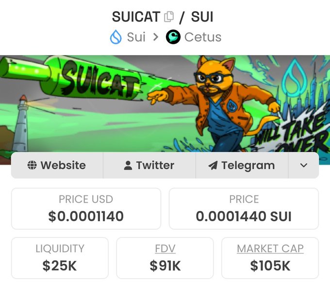 The image displays the SUICAT (SUI) token on the Cetus DEX within the Sui network, showing a price of $0.0001140 USD (0.0001440 SUI) with a market cap of $105K, FDV of $91K, and liquidity of $25K—illustrating the new "bag" the poster just acquired.