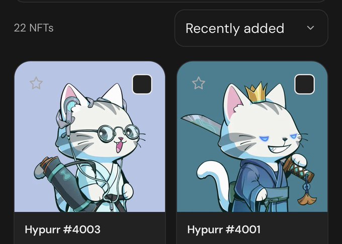 A digital wallet interface shows 22 NFTs sorted by 'Recently added', displaying two cat-themed illustrations labeled 'Hypurr #4003' and 'Hypurr #4001'.