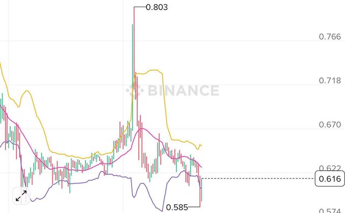 The image shows a line chart representing changes in the value of cryptocurrency over time, with the x-axis labeled "Time" and the y-axis labeled "Value". The chart displays peaks and valleys indicating fluctuations in the price of the cryptocurrency. The most recent drop in price, which occurred from 0.67 to 0.68, is still visible on the graph. A series of lines, one of which is labeled "Binance", is shown above the chart, potentially representing the cryptocurrency trading platform or a related company involved in the market analysis.
