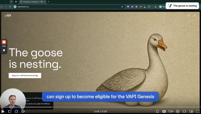A screenshot from a video on vapi.network.ai shows a goose nesting alongside the text "The goose is nesting" and a button reading "Apply for a vAPI Genesis Goose Egg," with a subtitle noting users "can sign up to become eligible for the VAPI Genesis." The clip relates to the post by illustrating the qualification process for vAPI's Genesis Goose Egg campaign.