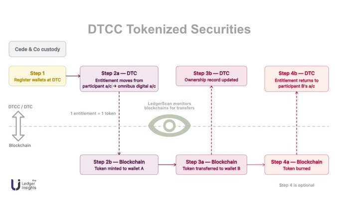 A flowchart illustrates DTCC's tokenized securities process, detailing steps where entitlements move between participant accounts (A/C) and an omnibus digital account via blockchain operations—wallet registration, token minting to wallet A, transfer to wallet B, and optional token burning—each mirrored between DTCC and blockchain layers monitored by LedgerScan. The diagram visualizes how blockchain-based settlement complements traditional DTC custody, which aligns with the post's discussion of which chains (like Ripple, Canton, or Stellar) might participate in DTCC's soft launch.