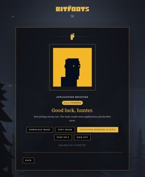 A dark webpage from 'BITBOYS' displays a pixel-art yellow character in a black square with the text 'APPLICATION RECEIVED' and 'Good luck, hunter. Everything checks out. The team made every application and decides'.