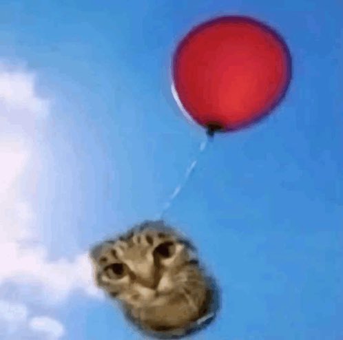 A surreal digital edit features a red balloon floating in a blue sky with clouds, but instead of a basket, it is attached by a string to a close-up image of a cat's face with wide eyes.