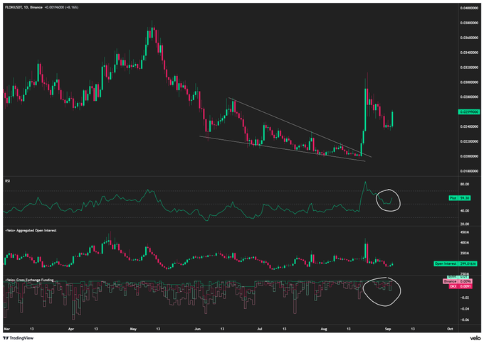 A TradingView financial chart for Fantom (FTM/USD) on Binance displays candlestick price action with RSI, Open Interest, and Coin Exchange Funding indicators, with circled highlights on the lower indicators.