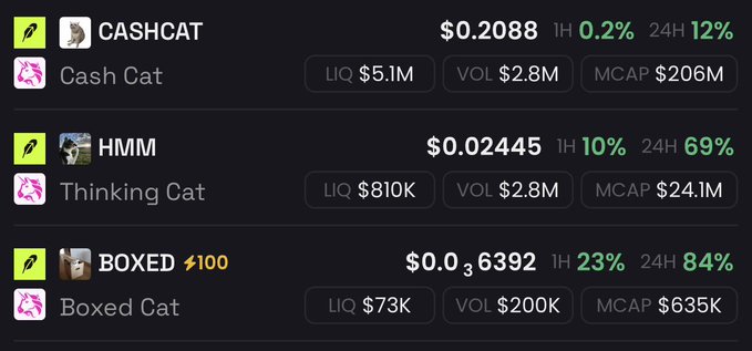 The image displays market data for three cat-themed meme coins: $CASHCAT at $0.2088 with a $206M market cap, $HMM (Thinking Cat) at $0.02445 with a $24.1M market cap, and $BOXED at $0.036392 with a $635K market cap, all showing significant 1H and 24H gains. The post argues that all three cat tokens deserve market caps above $100M, highlighting their strong recent performance as just the start of their upward trajectory.