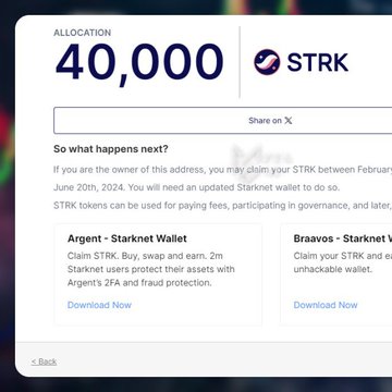 The image shows a Starknet airdrop allocation of 40,000 STRK tokens, with instructions for claiming through wallets like Argent or Braavos, likely representing the once-valuable airdrop that has since drastically declined in value, illustrating the painful $1,190 remaining worth of the original $120,000 allocation.