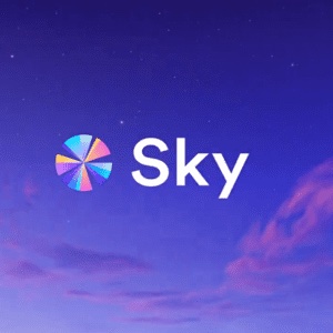 The image features the "Sky" logo with a colorful pinwheel design set against a purple starry sky background. This branding corresponds to Sky Protocol, whose record $419 million annualized revenue and $250+ million in cumulative sUSDS holder yields are highlighted in the accompanying post.