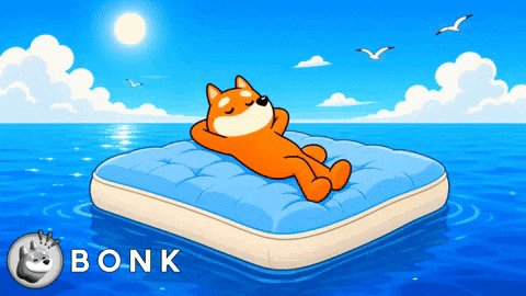 In the image, there's a cartoon dog lying on an inflatable bed floating on water. The dog appears to be enjoying its time lounging on the bed while surrounded by birds flying around them. The text "BONK" is written in white letters at the bottom of the image.