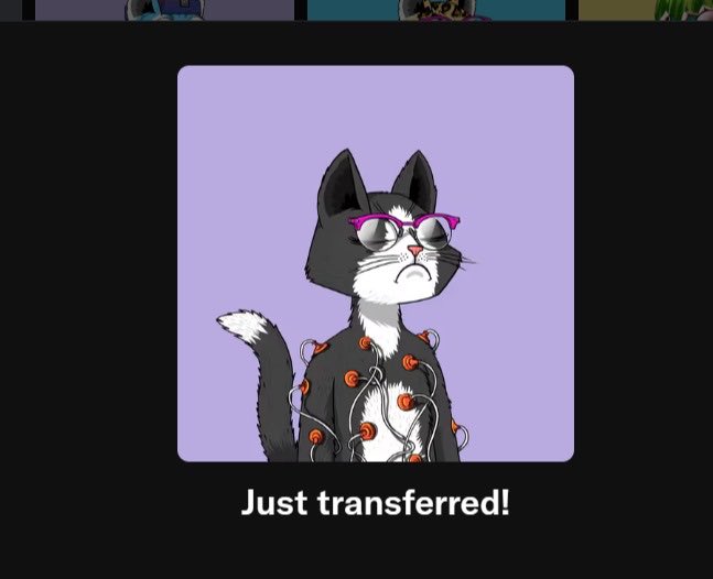 An NFT illustration of a black and white cat wearing pink sunglasses and orange headphones around its neck, with the text 'Just transferred!' displayed below.