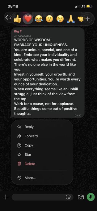A WhatsApp chat screenshot showing a forwarded message from 'Big T' titled 'WORDS OF WISDOM' containing motivational text about embracing uniqueness.