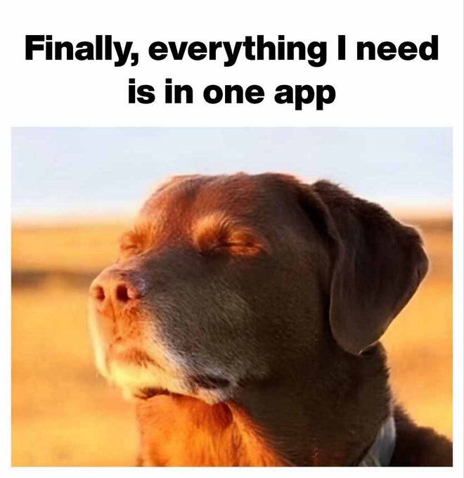 A meme showing a brown dog with closed eyes and a serene expression, captioned 'Finally, everything I need is in one app.'