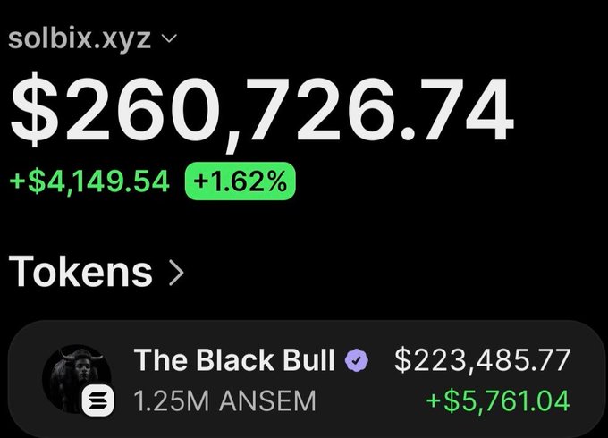 A screenshot of a crypto portfolio tracker showing the wallet "solbix.xyz" holding a total balance of $260,726.74 (+1.62%), with the top token "The Black Bull" (ANSEM) valued at $223,485.77 (+$5,761.04) from a 1.25M position, illustrating the post's claim of substantial profits from the Ansem wallet's memecoin trades.