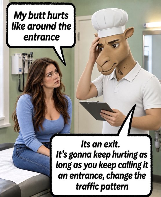 A humorous meme showing a woman telling a camel-doctor in a chef's hat that 'My butt hurts like around the entrance,' to which the camel replies, 'Its an exit. It's gonna keep hurting as long as you keep calling it an entrance, change the traffic pattern.'