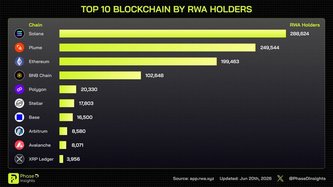 The image features a bar chart with the title "Top 10 Blockchain by #RWA Holders" at the top, followed by a list of cryptocurrencies on the y-axis. The bottom part of the chart shows the number of holders for each cryptocurrency, providing a visual representation of their popularity among the RWA community.