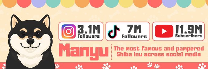 Promotional banner for 'Manyu', the famous Shiba Inu, showing 3.1M Instagram followers, 7M TikTok followers, and 11.9M YouTube subscribers.