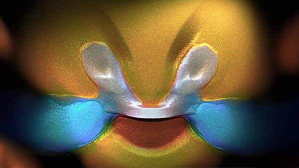 A glossy, metallic "W" shape glows against a vibrant, abstract background of blue and orange hues, resembling a playful, otherworldly face with two rounded forms sitting above a curved shape. The image's surreal and whimsical appearance ties into the caption "what's so funny?" by inviting viewers to imagine a hidden grin or amused expression in the abstract design.
