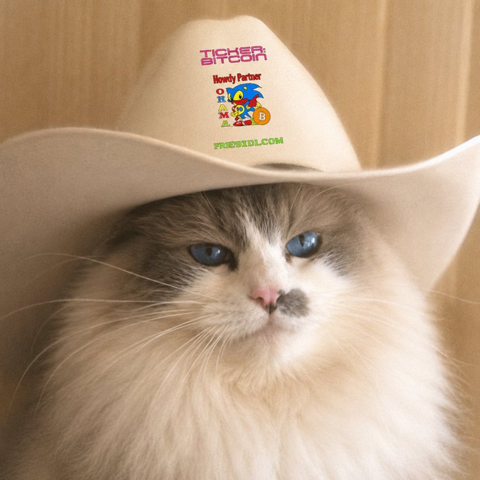A close-up photo of a fluffy long-haired cat with blue eyes wearing a cream cowboy hat embroidered with 'TICKET SAFARI', a Sonic the Hedgehog graphic, and 'FREESIDL.COM'.