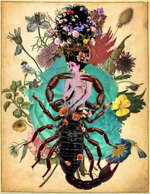 A surreal botanical artwork depicting a figure with a flower-adorned headdress emerging from the body of a large scorpion, surrounded by various flowers and plants on an aged parchment background.