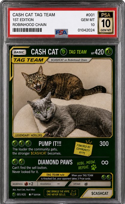 A PSA Gem Mint 10 graded 'Cash Cat Tag Team' trading card (#001) on the Robinhood Chain, featuring two cats with abilities 'Pump It!!!' and 'Diamond Paws.'