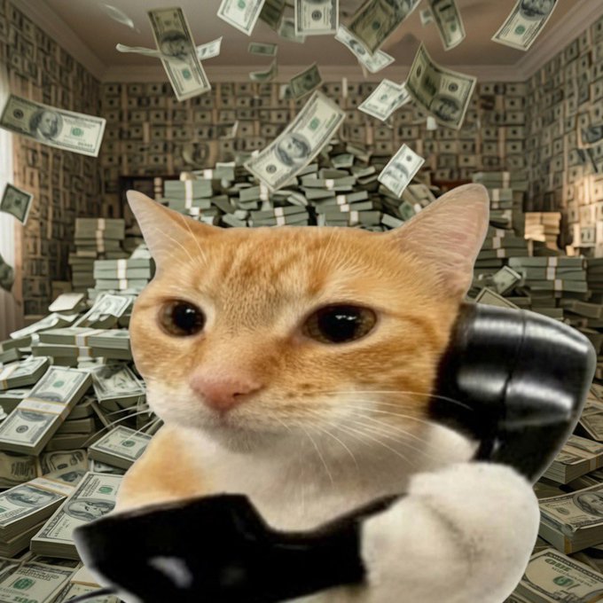 A digitally manipulated image of an orange and white cat's face superimposed on a cat body holding a black telephone receiver, surrounded by falling dollar bills and stacks of money.
