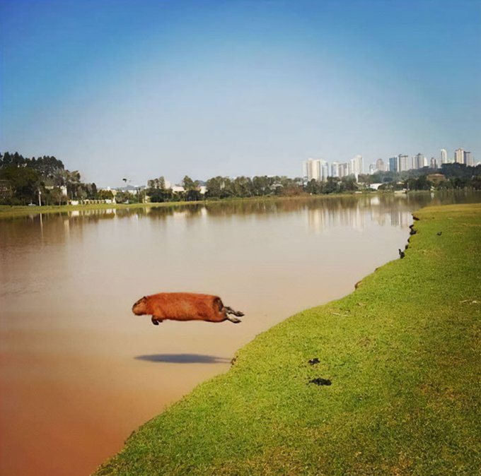 The image features an animal, possibly a dog or a cow, flying over a body of water with buildings visible in the background. The scene appears to be set in a park-like area where there are several birds scattered around the lake. The caption suggests that this unusual sight is related to a post on social media, which might be about an event happening in the city or simply an interesting photo capturing the moment of the animal flying over the water.