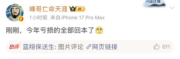 A screenshot from the "鸿儒江海" platform shows a user named "峰哥亡命天涯" (Brother Feng) with a Crown Level 3 badge, posting from an iPhone 17 Pro Max: "刚刚，今年亏损的全部回本了😭😭" (Just now, all this year's losses have been recouped), with 611 likes and a trending tag "蓝翔保送生". The post relates to the accompanying caption by depicting a fortunate investor celebrating breaking even, contrasted with the warning that others have already been "liquidated" during market turbulence.