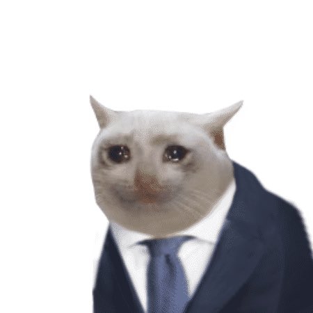 A white cat with a serious, determined expression is photoshopped to wear a navy suit and blue tie, looking directly at the viewer. The image serves as a stern, professional-looking visual for the poster warning critics that their negative comments about "$CASHCAT" will be documented and revisited later.