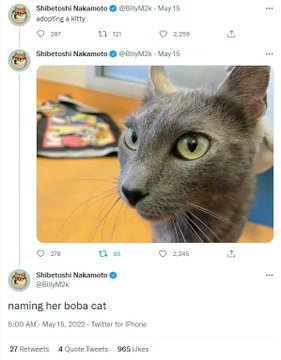The image shows a tweet from "Shibetoshi Nakamoto" (@BillyM2k) featuring a gray cat looking off to the side, posted on May 15 with the caption "naming her boba cat." The tweet includes engagement metrics (2,259 retweets, 2,345 likes) and relates to the post about the BobaCat meme, showing the original tweet that established the name "Boba Cat" for this famous gray cat, which connects to the $BOBA token referenced in the accompanying message.