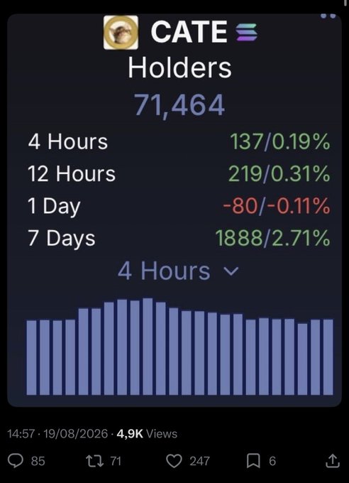 A screenshot showing CATE Holders data with 71,464 holders, displaying percentage changes over 4 hours, 12 hours, 1 day, and 7 days, posted on 19/08/2026 with 4.9K views.