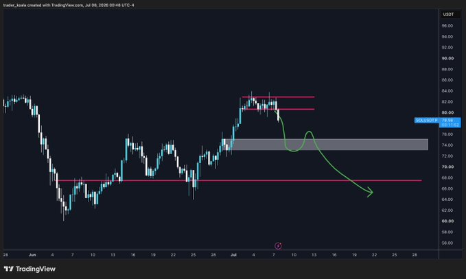 A TradingView 4-hour chart of SOL/USDT on Binance (priced at ~$77.84) shows a short squeeze rally to the $80-$83 resistance zone followed by a sharp rejection, with a green hand-drawn path illustrating a likely retrace down through the highlighted $73-$76 demand area toward the $65-$68 support. The caption ties into the post's implication that the recent pump ("you know who" likely referencing high-profile bullish commentary) may now lead to a pullback for short-term shorts.