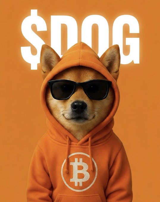 A Shiba Inu dog wearing sunglasses and an orange Bitcoin hoodie poses under the text '$DOG', referencing the Dogecoin meme mascot.