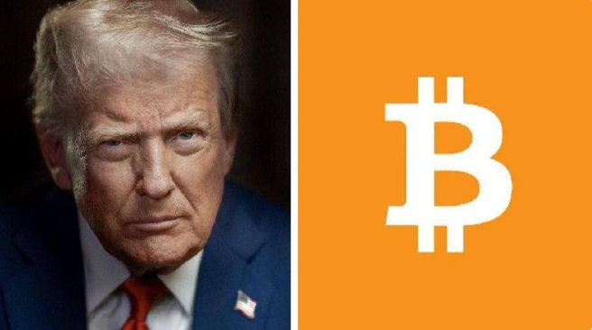 The image shows a split composition of Donald Trump's face on the left and the Bitcoin logo on an orange background on the right, visually linking him and his company to the cryptocurrency.