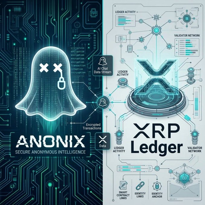xtrp and anonix logos, along with a data stream diagram, are displayed against a blue background with green and white lines representing the flow of information.