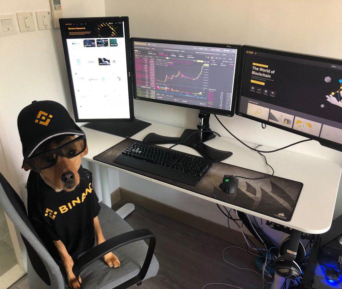 A Shiba Inu dog wearing glasses, a black cap with the Binance logo, and a Binance t-shirt, sitting in an office chair at a trading desk with multiple monitors displaying cryptocurrency charts and Binance websites.