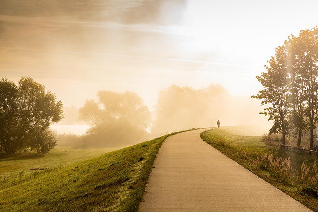 A misty sunrise bathes a winding country path in golden light, with a lone figure walking into the foggy distance—evoking the quiet determination of starting a new journey. The ethereal, hopeful scene pairs with the post's morning greeting (Jumma Mubarak) and message encouraging boldness in buying market dips, symbolizing a fresh, fearless step forward into the unknown.