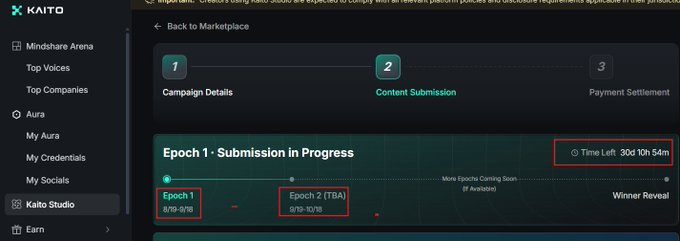 Screenshot of the KAITO platform showing a marketplace campaign with 'Epoch 1 - Submission in Progress' and a time left of 30d 10h 54m, with Epoch 1 and Epoch 2 (TBA) highlighted.