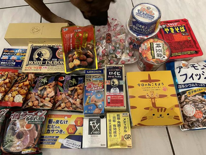 A flat-lay photo of an assortment of Japanese grocery and snack products including ROIHI-TSUBOKO patches, seafood packages, instant noodles (yakisoba and cup noodles), Loxonin pain patches, NEO brand items, and a yellow cat-themed box, with a cat partially visible at the top.