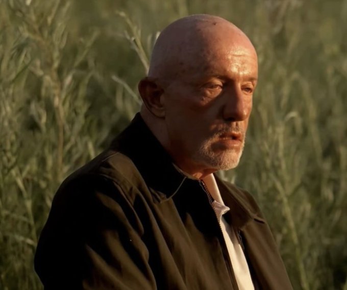 A close-up of a bald older man with a white beard wearing a dark jacket, standing in a field of tall grass illuminated by warm lighting.